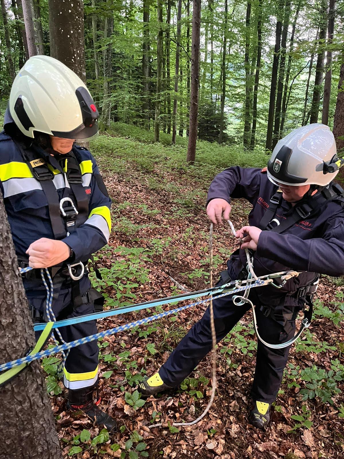 Monatsübung Mai